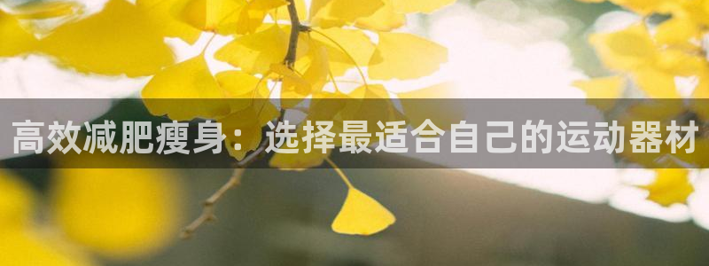 意昂体育5(KGAME)开户:高效减肥瘦身:选择最适合自己的